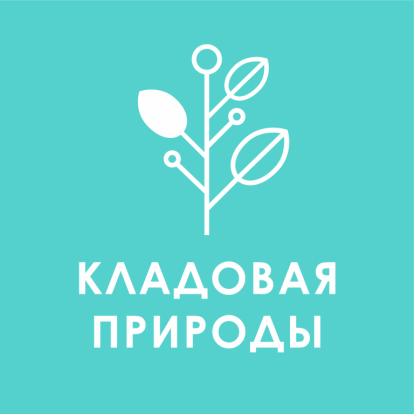 Творческая программа «Кладовая природы» 1