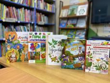 Новые книги о лесе 1